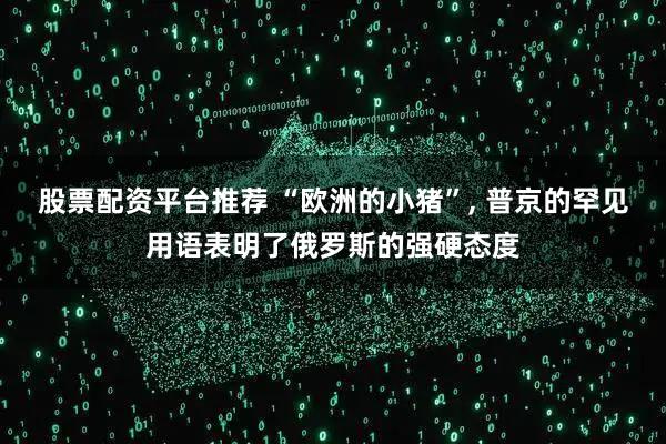 股票配资平台推荐 “欧洲的小猪”, 普京的罕见用语表明了俄罗斯的强硬态度