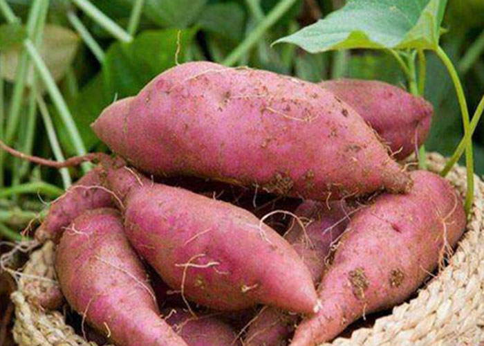 1761638864159145 ·¬Êí2.jpg